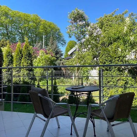 Koga96 * מיקוז'בו